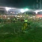 Sorteador fallece al ser golpeado por furioso toro en Moyogalpa nicaragua