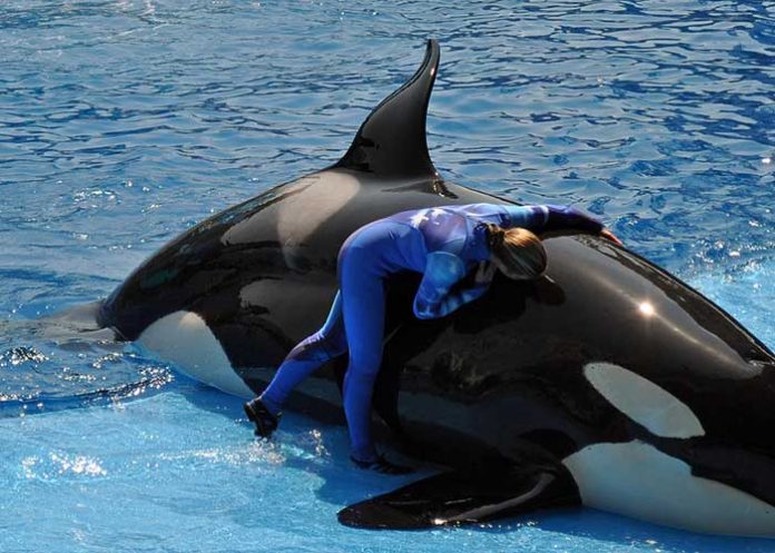 kayla estados unidos