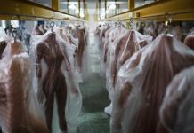 Fabricantes de muñecas sexuales de China saltan en AI drive china