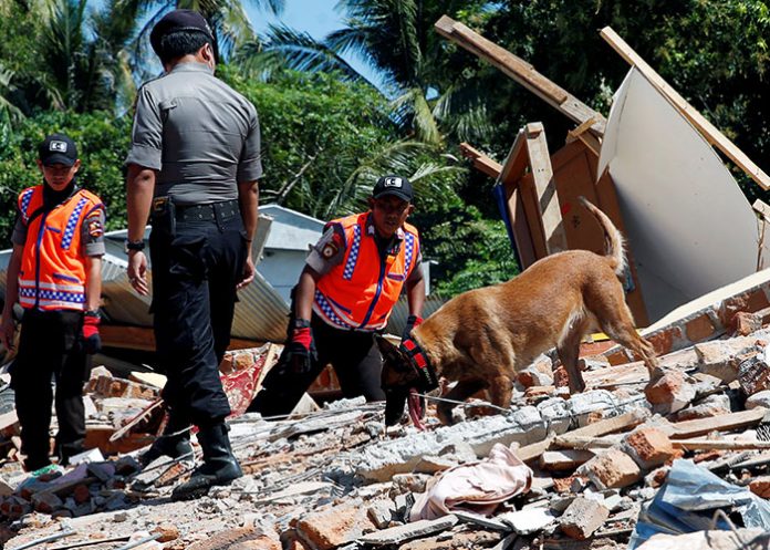 km_Gxl6GXb indonesia