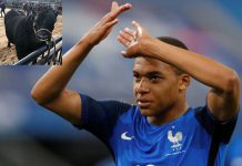 Nombran a un toro como Kylian Mbappé en honor al jugador argentina