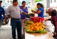 El MEFCCA realiza la Feria de la Cosecha en Jalapa mefcca