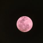 ¿Qué es y cuándo ver la Luna Rosa? tendencia