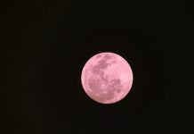 ¿Qué es y cuándo ver la Luna Rosa? tendencia