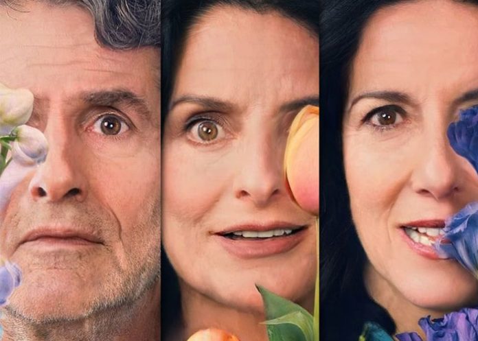 la-casa-de-las-flores-2 cine