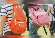 Un profesor se desnuda y persigue a los alumnos de una escuela primaria de EE.UU.