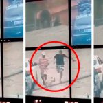 Cámaras captan a perro atrapando a ladrón que escapaba de policías perro