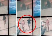 Cámaras captan a perro atrapando a ladrón que escapaba de policías perro
