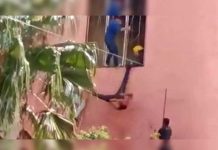 Un ladrón quedó colgado de una cuerda y un policía lo agarra como piñata