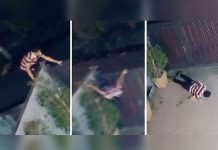 Ladrón intenta saltar el muro de una casa y pega la cara contra el suelo tailandia