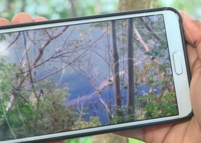 lag1 serpiente masaya