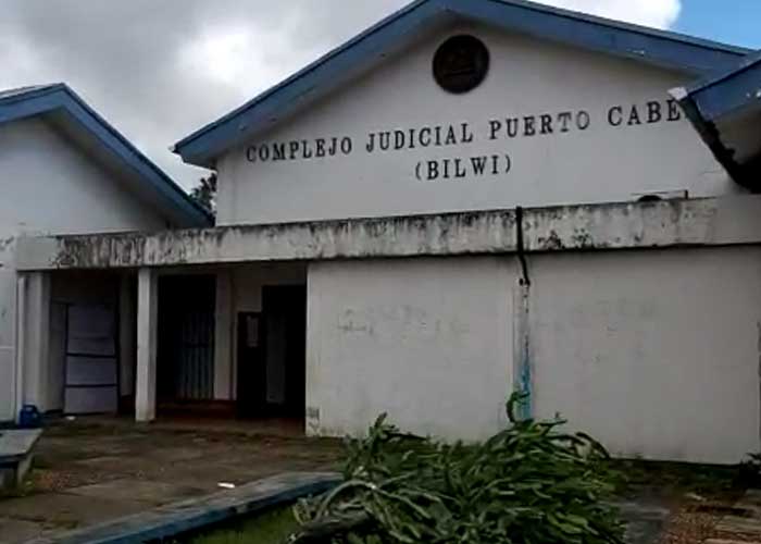 lagarto-bilwi-01 nicaragua