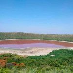 Lago asombra a científicos al volverse rosado en la India india