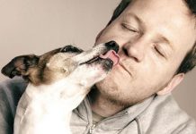 Le amputan las manos y las piernas por los lametones de un perro estados unidos