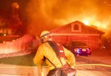 Gobierno de Nicaragua se solidariza con familias afectadas por incendios en California nicaragua
