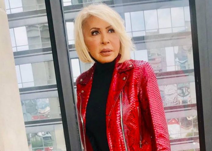 regreso a la television