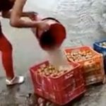 Viral en Nicaragua: Comerciante lava papas con agua sucia nicaragua