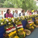Gobierno proyecta un 4% de crecimiento del sector agrícola nicaragua