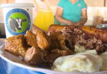 Leche Agria El Ganadero sigue expandiéndose y generando empleo nicaragua