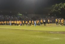 Leones muerden de visita y toman ventaja en la Final de la LBPN lbpn