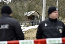 Hombre muere tras ataque de su león en República Checa republica checa