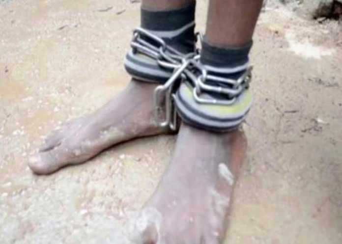 liberadas-nigeria nigeria