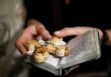 Jesuitas estadounidenses publican lista con 50 acusados y más de 200 casos de abuso estados unidos
