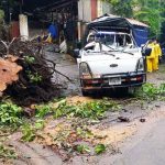 Árbol colapsa y cae sobre camioncito en Sierritas de Santo Domingo nicaragua