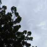 Pronostican más lluvias en Nicaragua por formación de onda tropical nicaragua