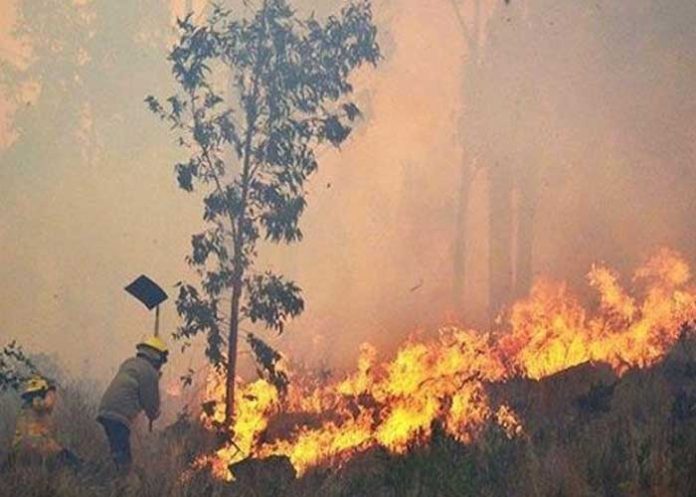lluvias-incendios-bolivia bolivia