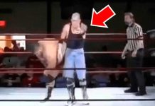 Luchador se cree el ganador del combate, pero rival le da lección luchador