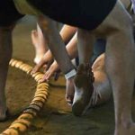 Japón: Luchador de sumo muere por una caída durante un combate japon, deporte, sumo, muerte,