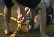 japon, deporte, sumo, muerte,