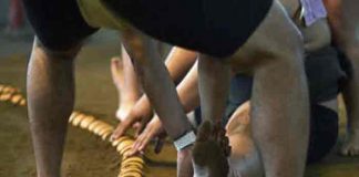 japon, deporte, sumo, muerte,