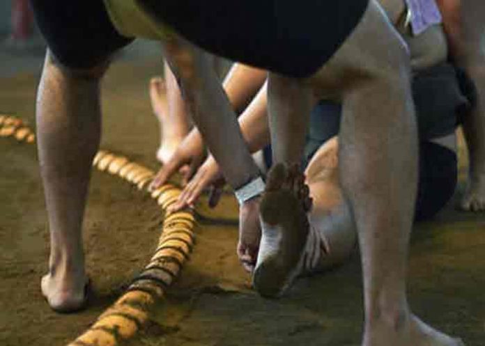 japon, deporte, sumo, muerte,