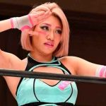 Muerte de una luchadora revive debate sobre ciberacoso en Japón cine