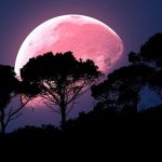 La Superluna rosa del año brillará la noche de este martes mundo