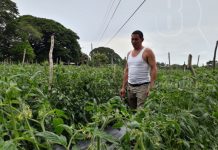 nicaragua