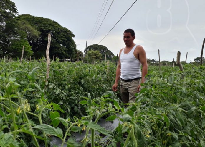 m1_DJCWKf4 nicaragua