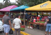 Matiguás: Frutas, verduras y más en el Mercadito Campesino nicaragua