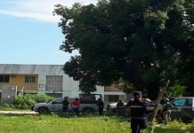 Hallan 8 cuerpos en una fosa clandestina en Xalisco, México mexico