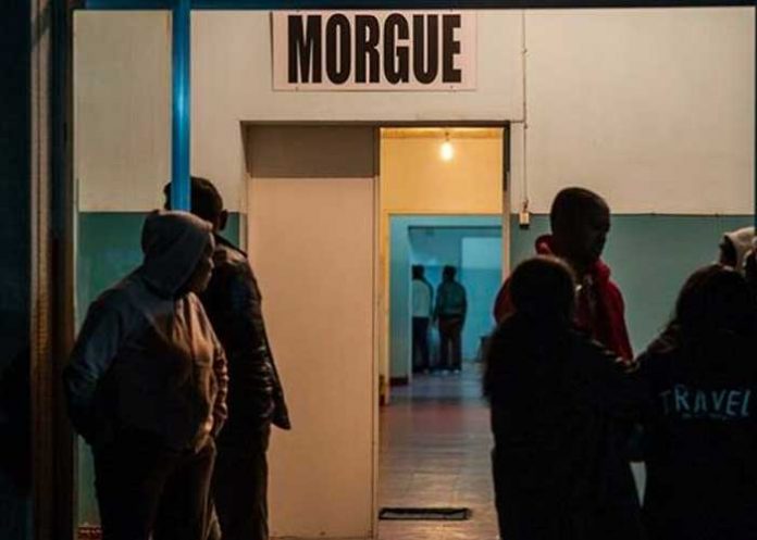 madagascar-estampida madagascar