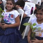 Instituciones de Nicaragua trabajan por «Un Madroño para mi Purísima» nicaragua