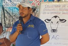 Capacitan en Granada sobre mejoramiento en producción de ganado nicaragua