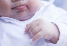 bebe gerber