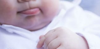 bebe gerber