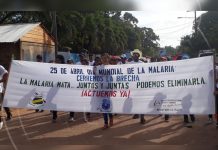 Bilwi en acción contra la malaria nicaragua