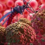 Asamblea Nacional aprobará acuerdo binacional para eliminación de la malaria nicaragua