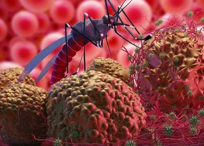 malaria-asamblea-123 nicaragua