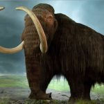 Han descubierto los restos de un mamut que vivió hace 10,000 años mexico